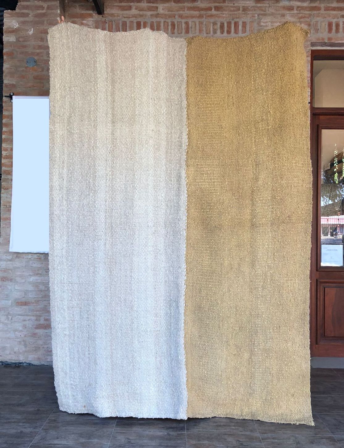 MACO | NATURAL Y CEBOLLA